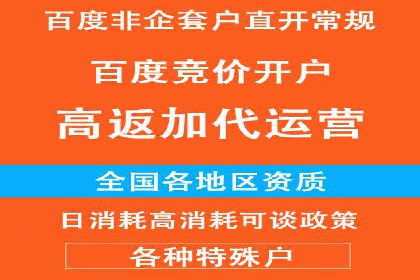 揭秘竞价推广公司：实战案例分享